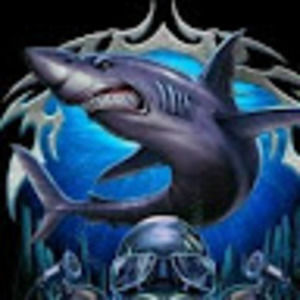 Meet your Posher, Norm